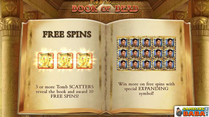 book of dead wild line bonus round