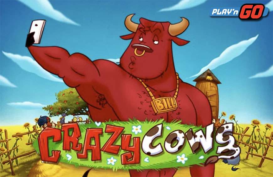 Crazy cows banner play n go