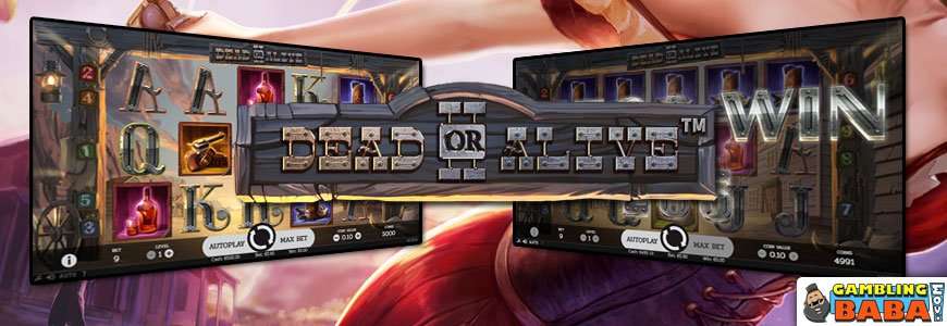 Dead or alive bonus buy slot
